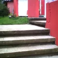 Rosas de la Infancia