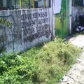 Malintzin