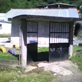 Ameyali