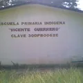 Vicente Guerrero