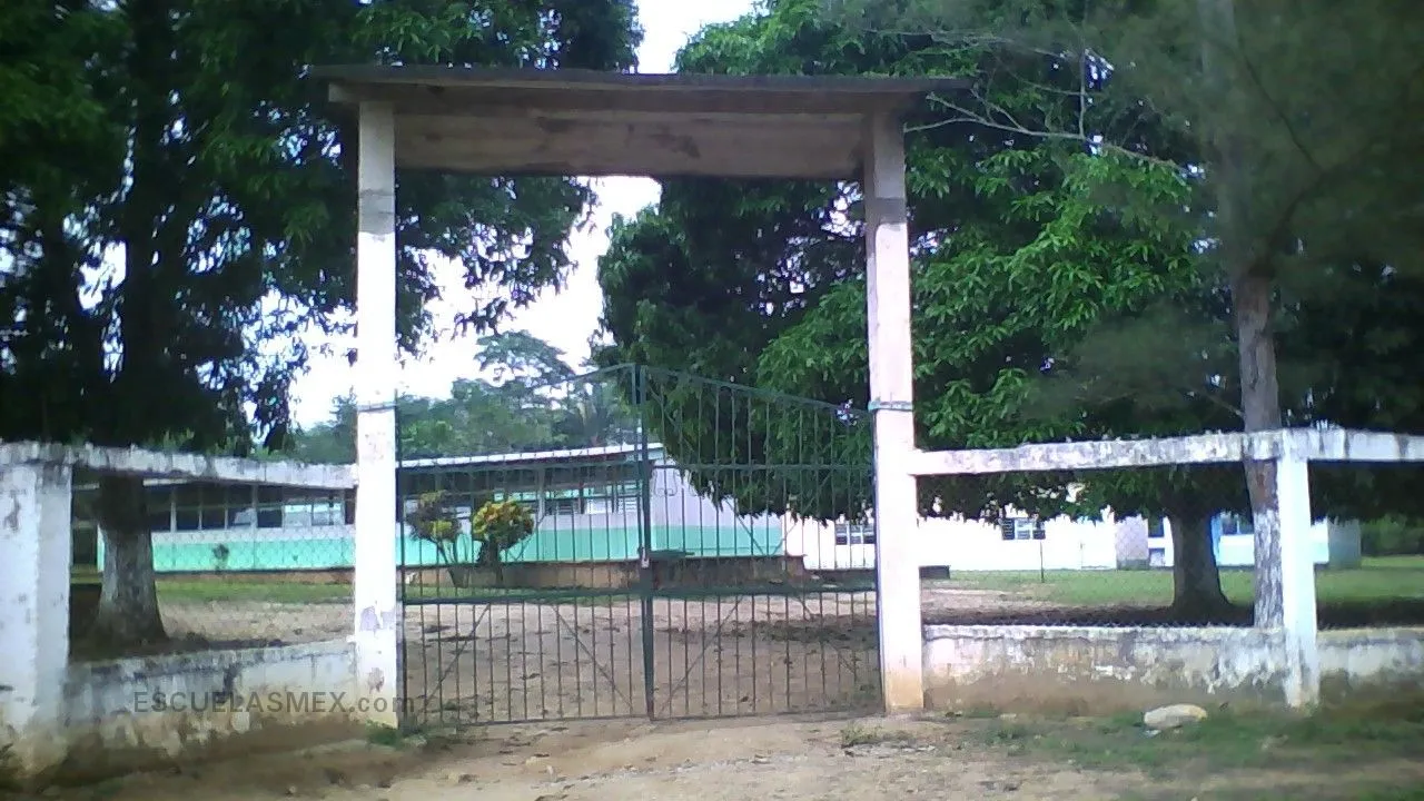 Vida Nueva Entrada