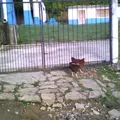 Filiberto Cerecedo