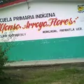 Alfonso Arroyo Flores
