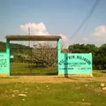 Primaria Bilingue