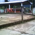 Gral. Mariano Salas