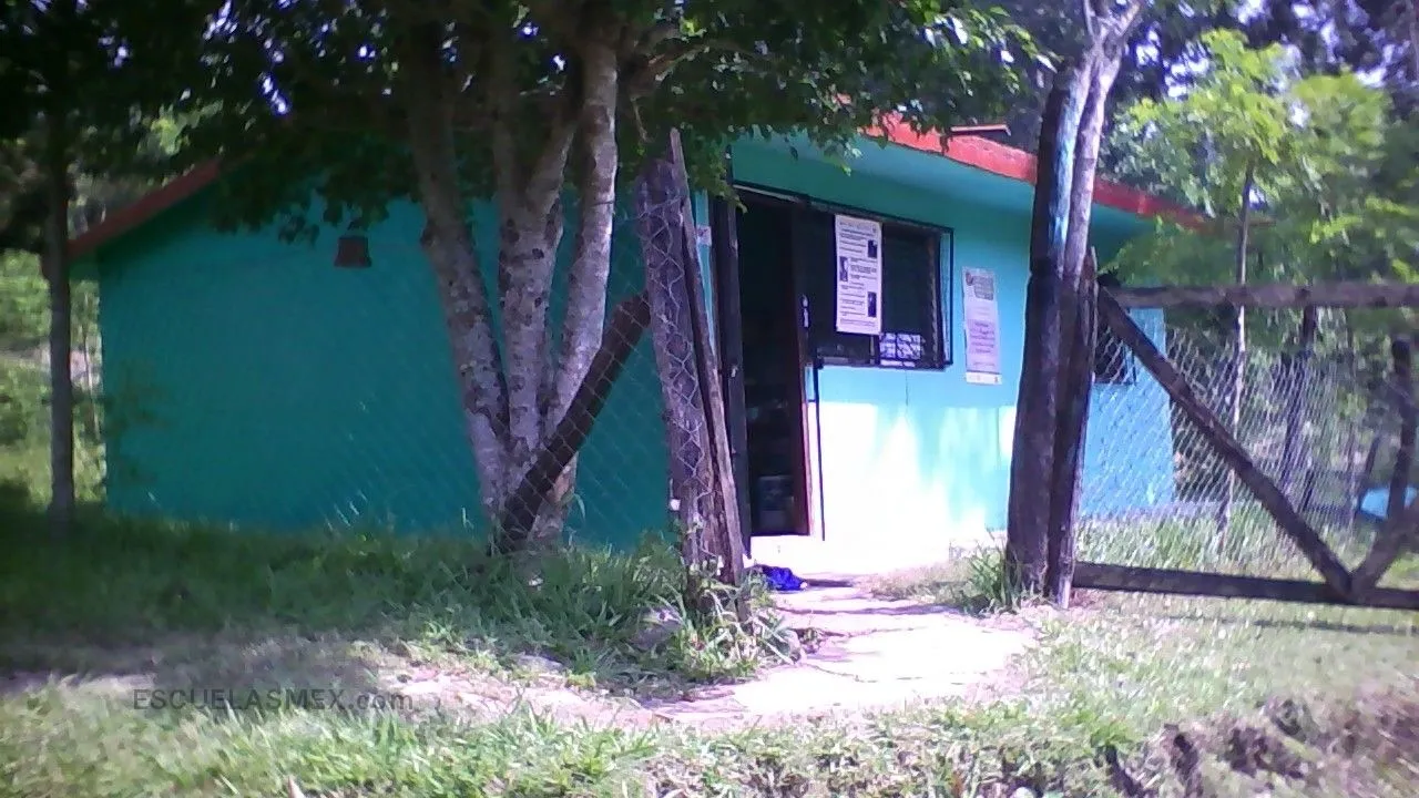 Venustiano Carranza Entrada