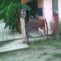 Tierra y Libertad