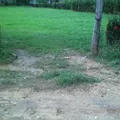 Justo Sierra