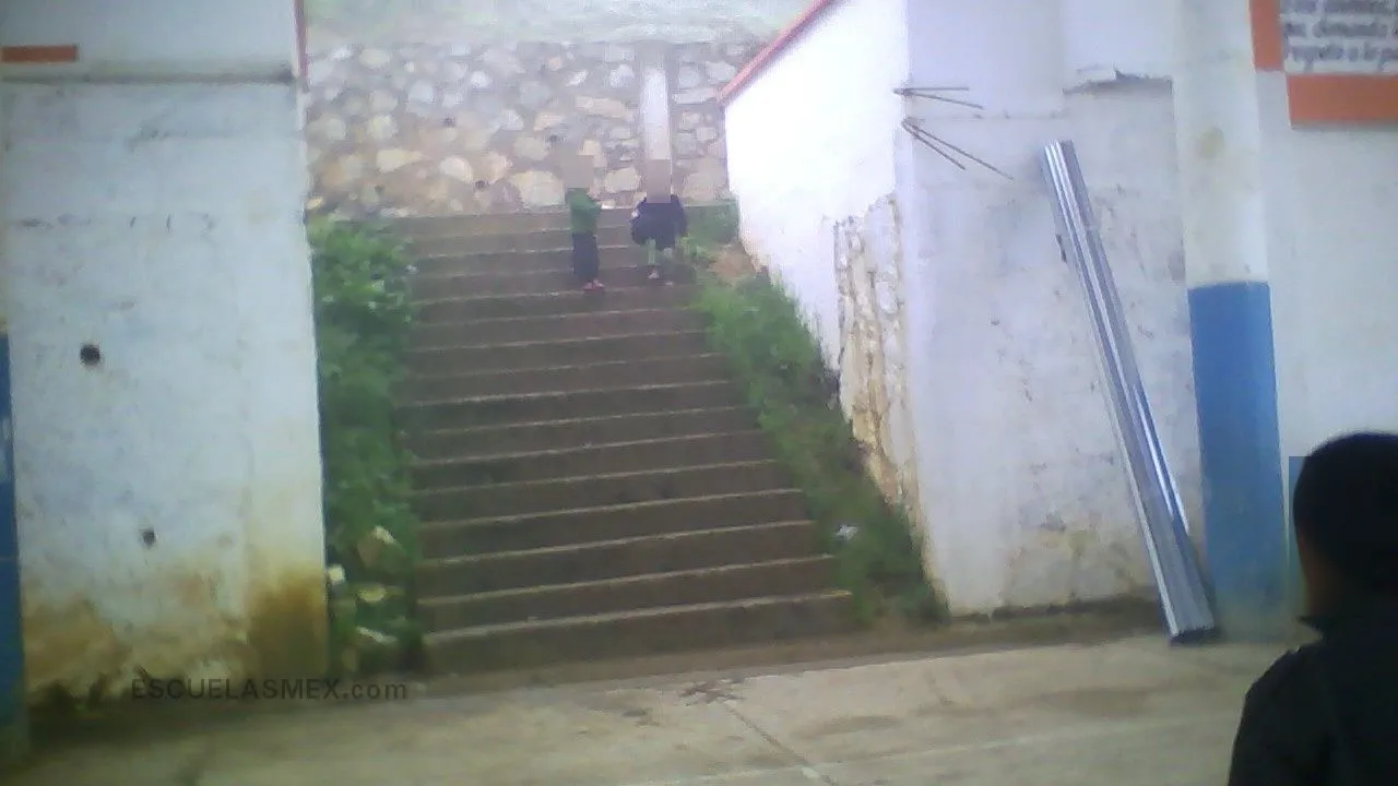 Adolfo Ruiz Cortines Entrada
