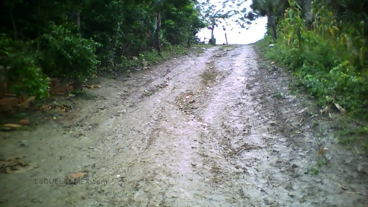 Lic. Luis Donaldo Colosio Murrieta Entrada