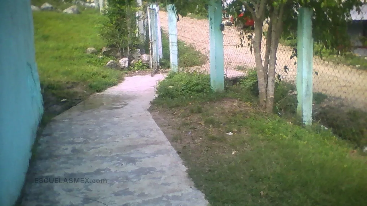 Adolfo Ruiz Cortines Entrada