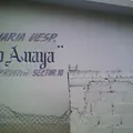 Carolino Anaya