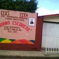 Mariano Escobedo