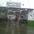 Profra. Elvira Valentina Ochoa