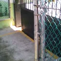Leonardo Priego Amador