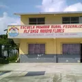 Alfonso Arroyo Flores