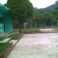 Vicente Suarez