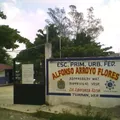 Alfonso Arroyo Flores