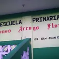 Alfonso Arroyo Flores