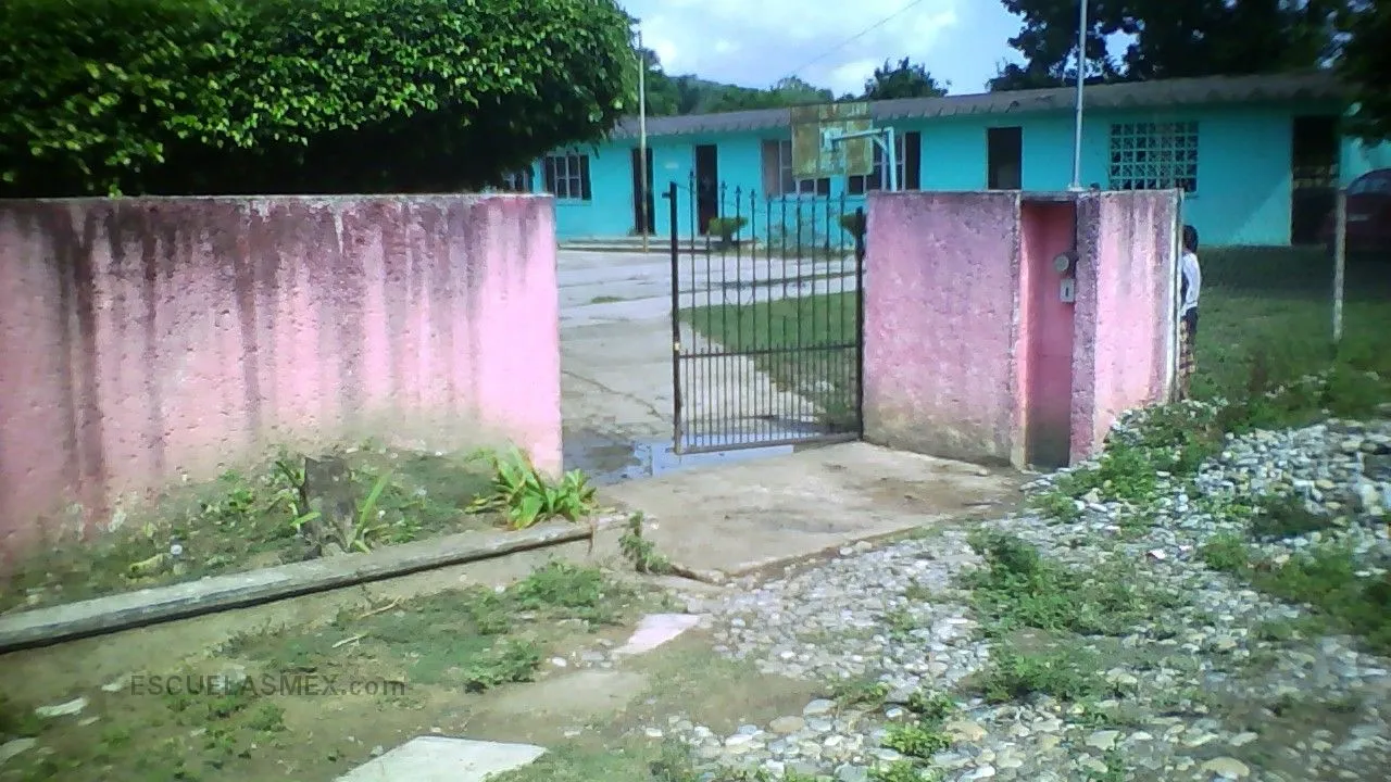 Plan de Once Años Entrada