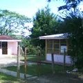 Jorge Bernal