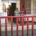 Salvador Diaz Miron