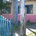 Lic. Gabriel Ramos Millan
