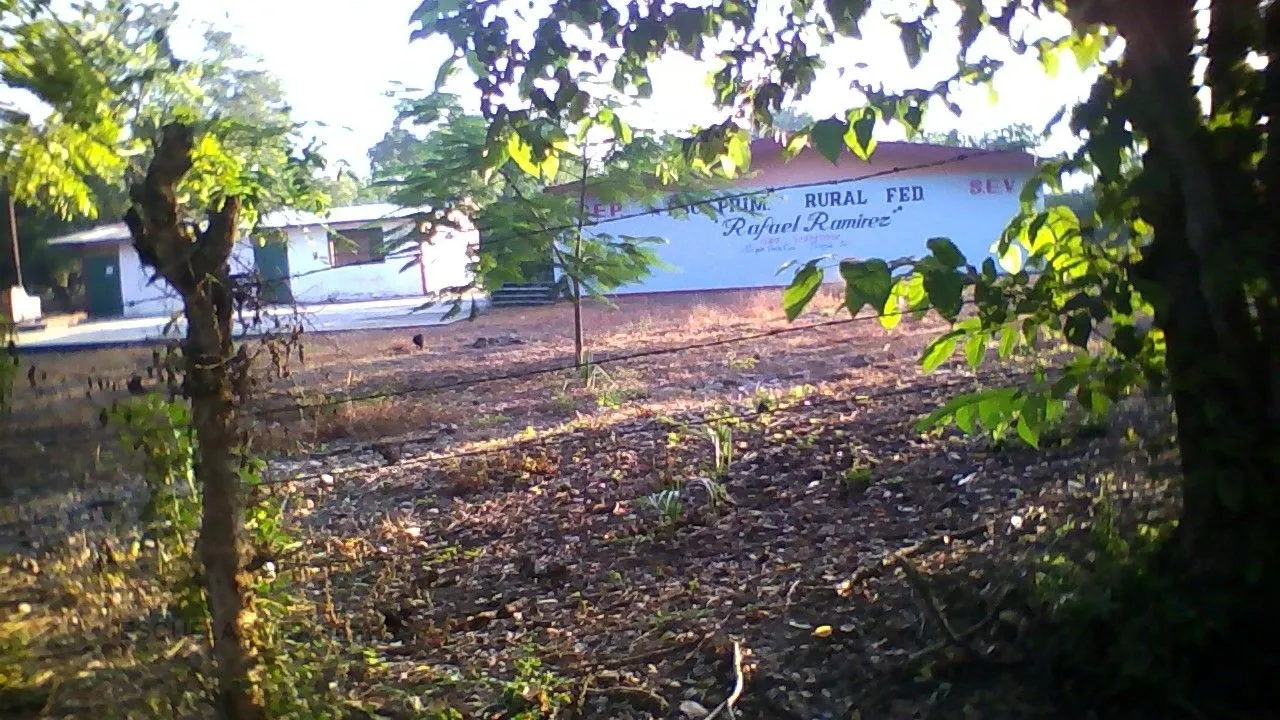 Rafael Ramirez Entrada