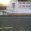 Adrian Zamora Lopez