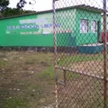 Trabajo Educacion y Libertad
