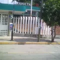 Maria Enriqueta
