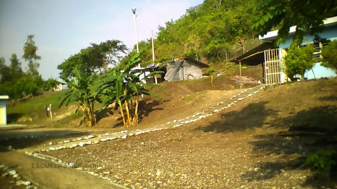 Profr. Juan Leon Herrera Entrada