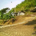 Profr. Juan Leon Herrera