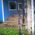 Constitucion