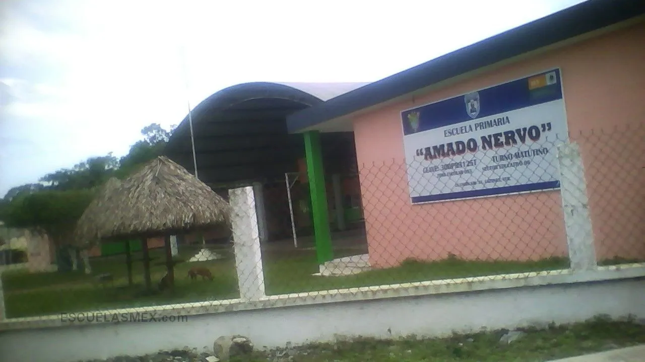 Amado Nervo Entrada