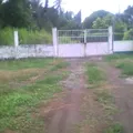 Ursulo Galvan