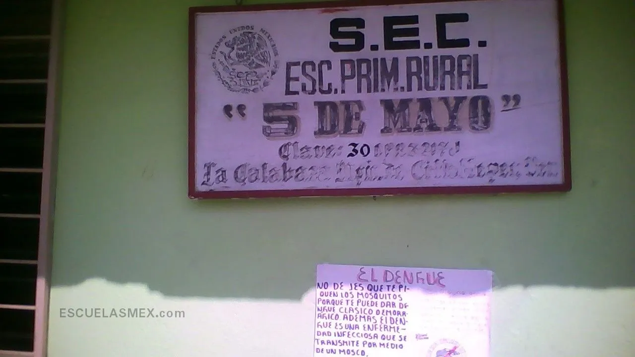 5 de Mayo Entrada