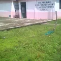 Adolfo Ruiz Cortines