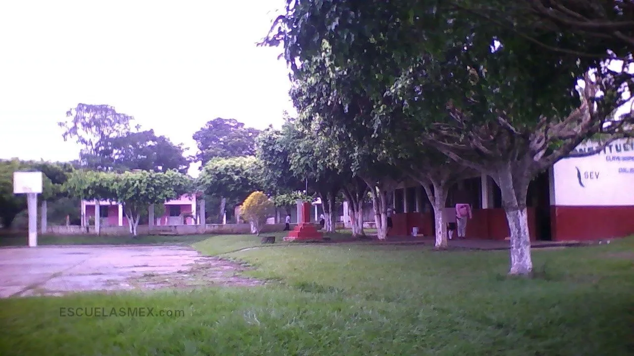 Constitucion de 1857 Entrada