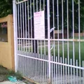Cultura Olmeca
