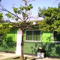 Narciso Mendoza