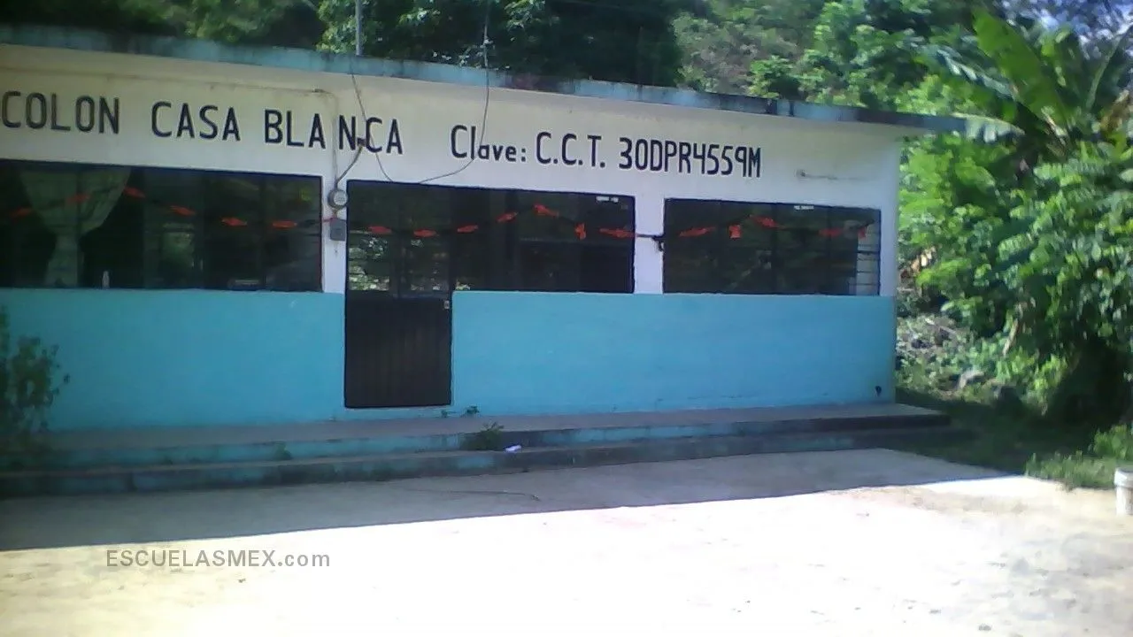 Cristobal Colon Entrada