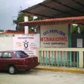 Netzahualcoyotl
