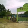 Tratados de la Martinica