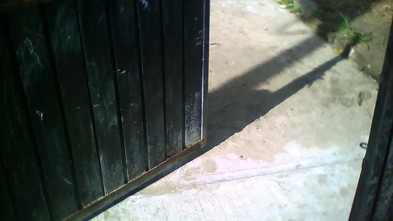 Alfonso Arroyo Flores Entrada