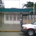Maria Enriqueta