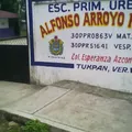 Alfonso Arroyo Flores