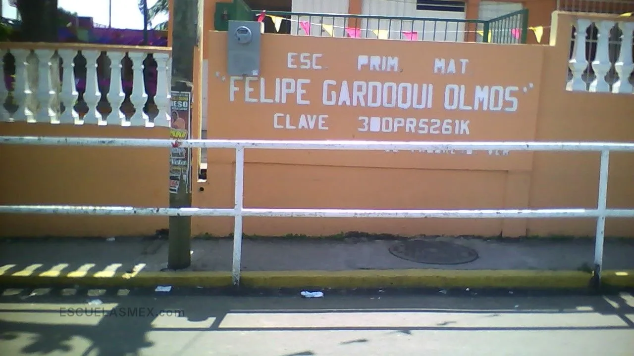 Felipe Gardoqui Olmos Entrada