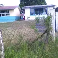 Luis Donaldo Colosio Murrieta