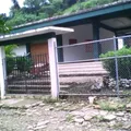 Secundaria Tecnica Agropecuaria Num. 120